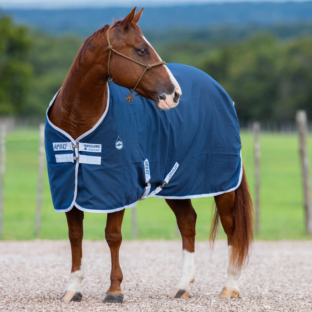 Staldeken  Amigo Stable Sheet Horseware®