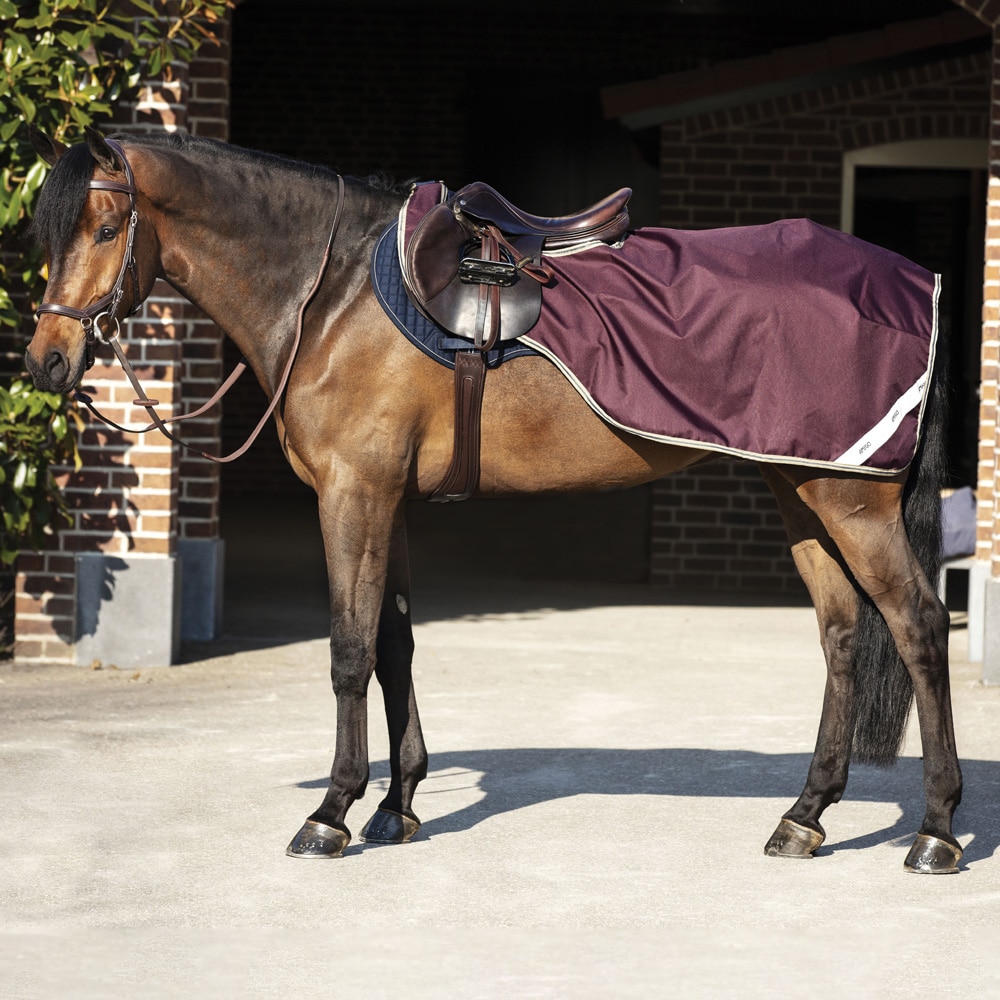 Paardrijdeken  Amigo Competition Sheet Horseware®