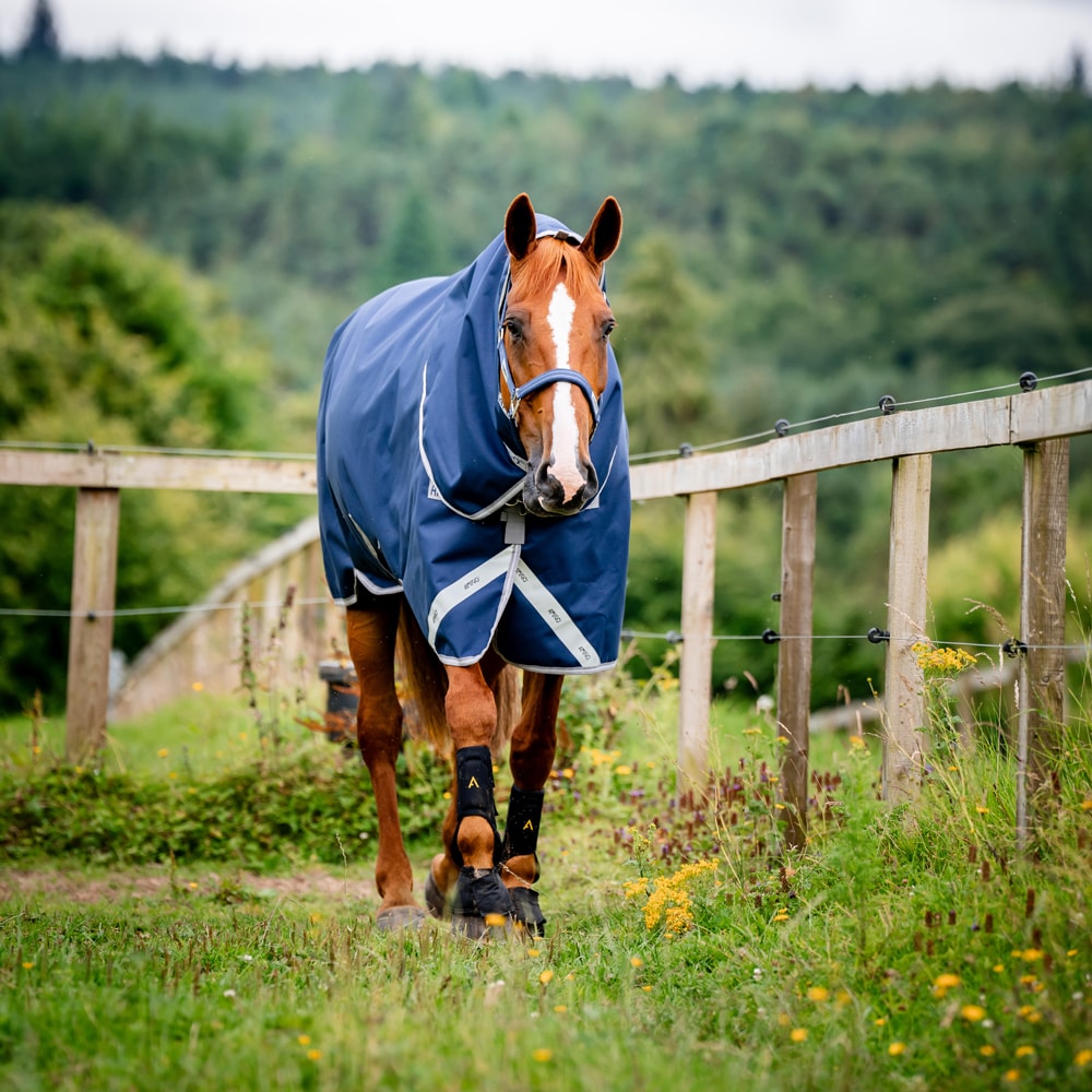 Regendeken  Amigo Bravo 12 Plus Turnout Lite Horseware®