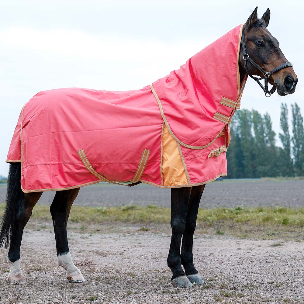 Uitrijdeken  Barney Fairfield®