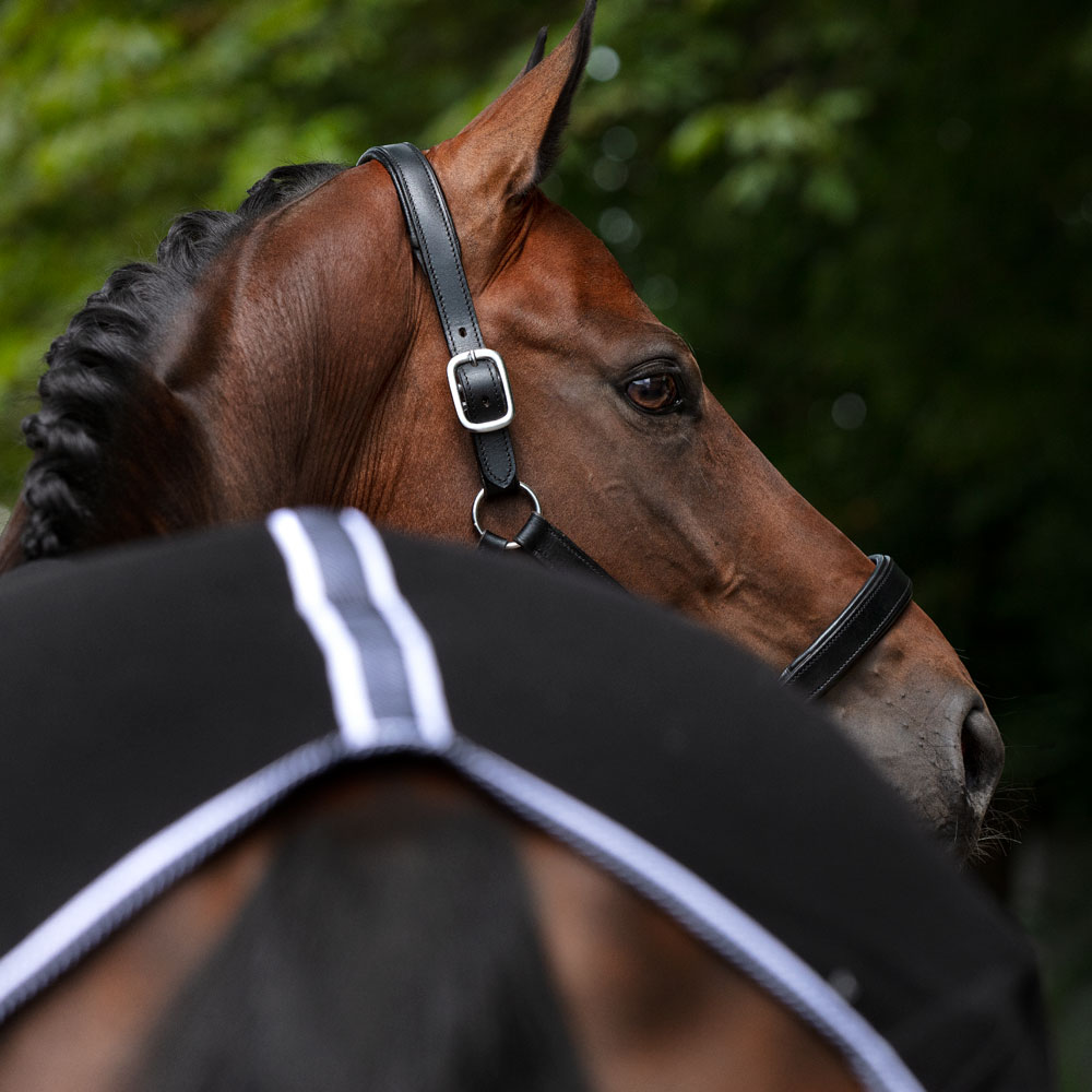 Fleecedeken Joyful Fairfield®