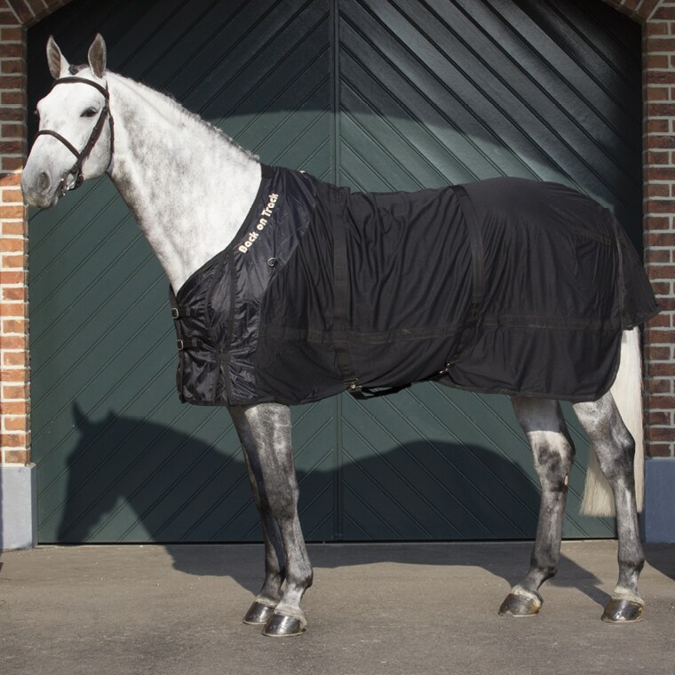 Netdeken Back on Track®