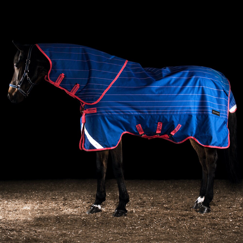 Winterdeken  Amigo Bravo Reflectech Plus 250 Horseware®