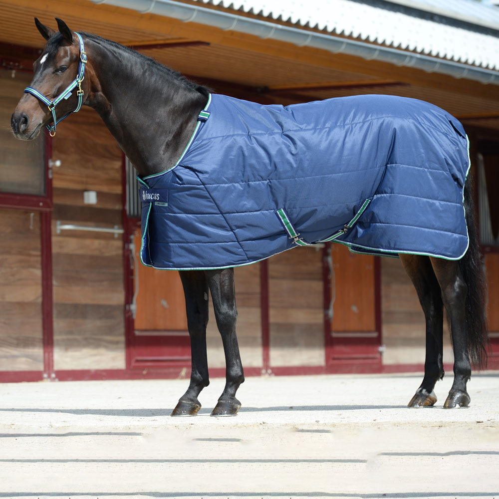 Staldeken  Quilt Bucas