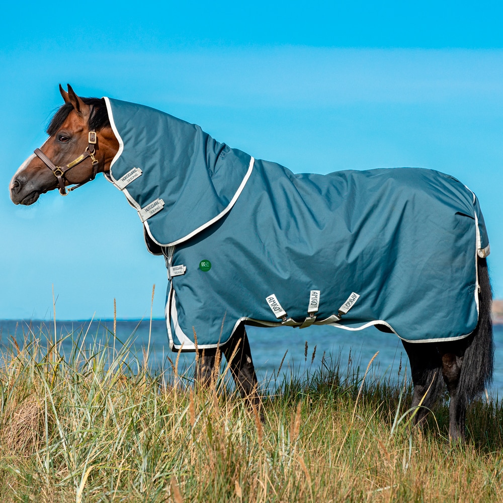 Uitrijdeken  Amigo AmEco 12 Plus 100 Horseware®