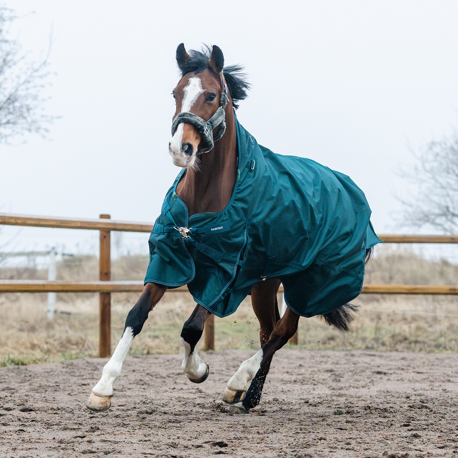 Regendeken  Reinvent 50 Fairfield®