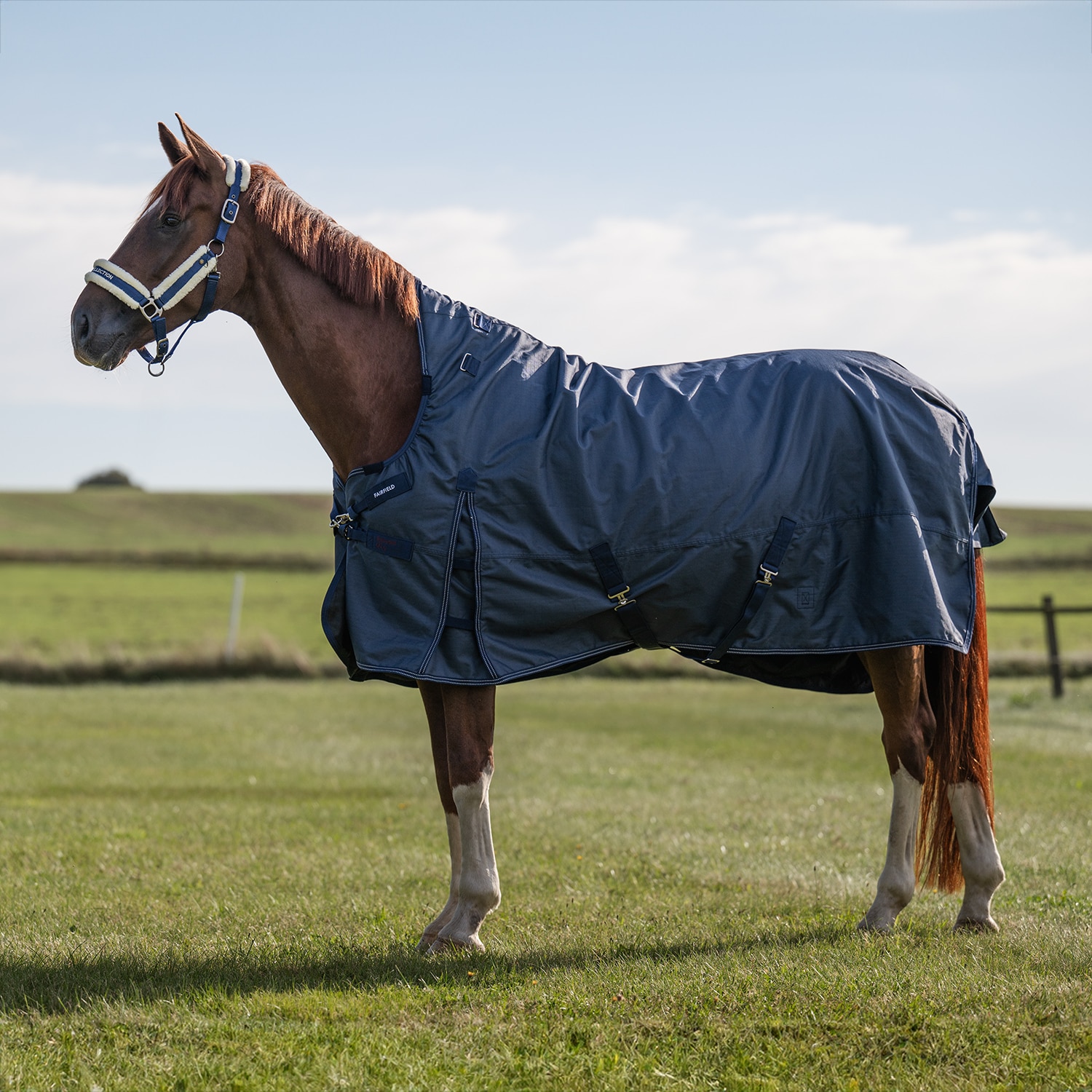 Regendeken  Reinvent 50 Fairfield®