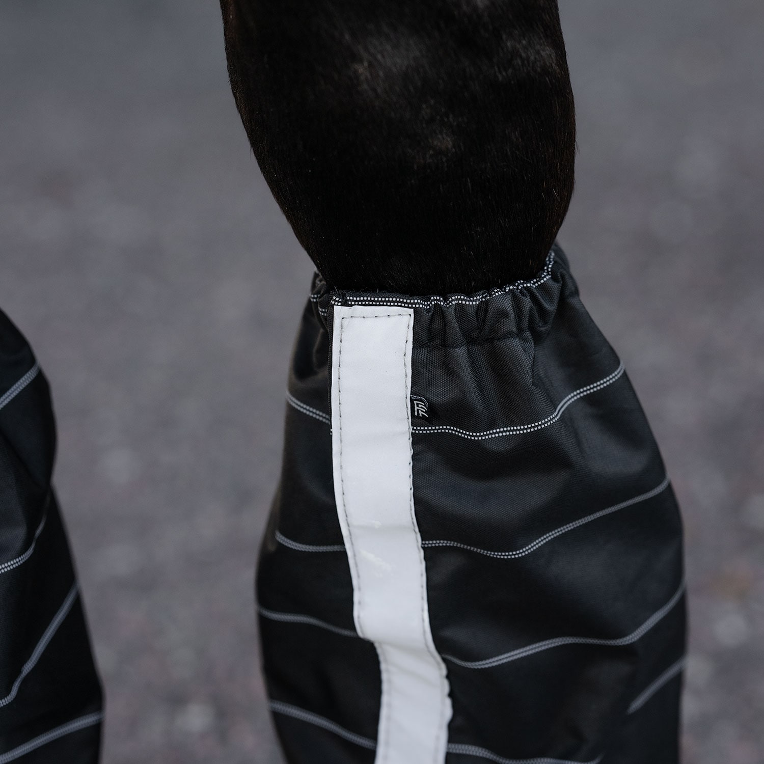 Beenkappen  Gateway Fairfield®