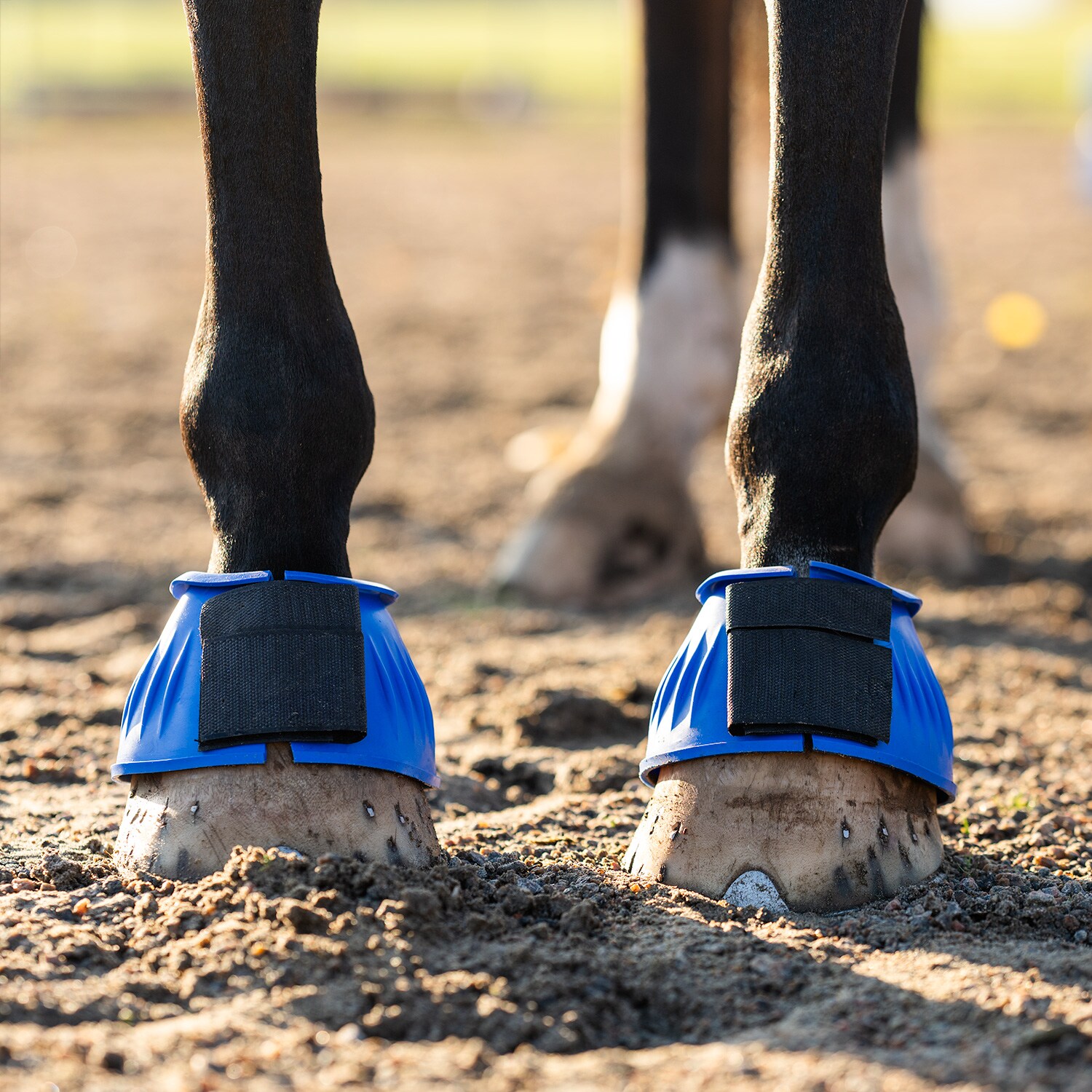 Laarzen  Basic Fairfield®