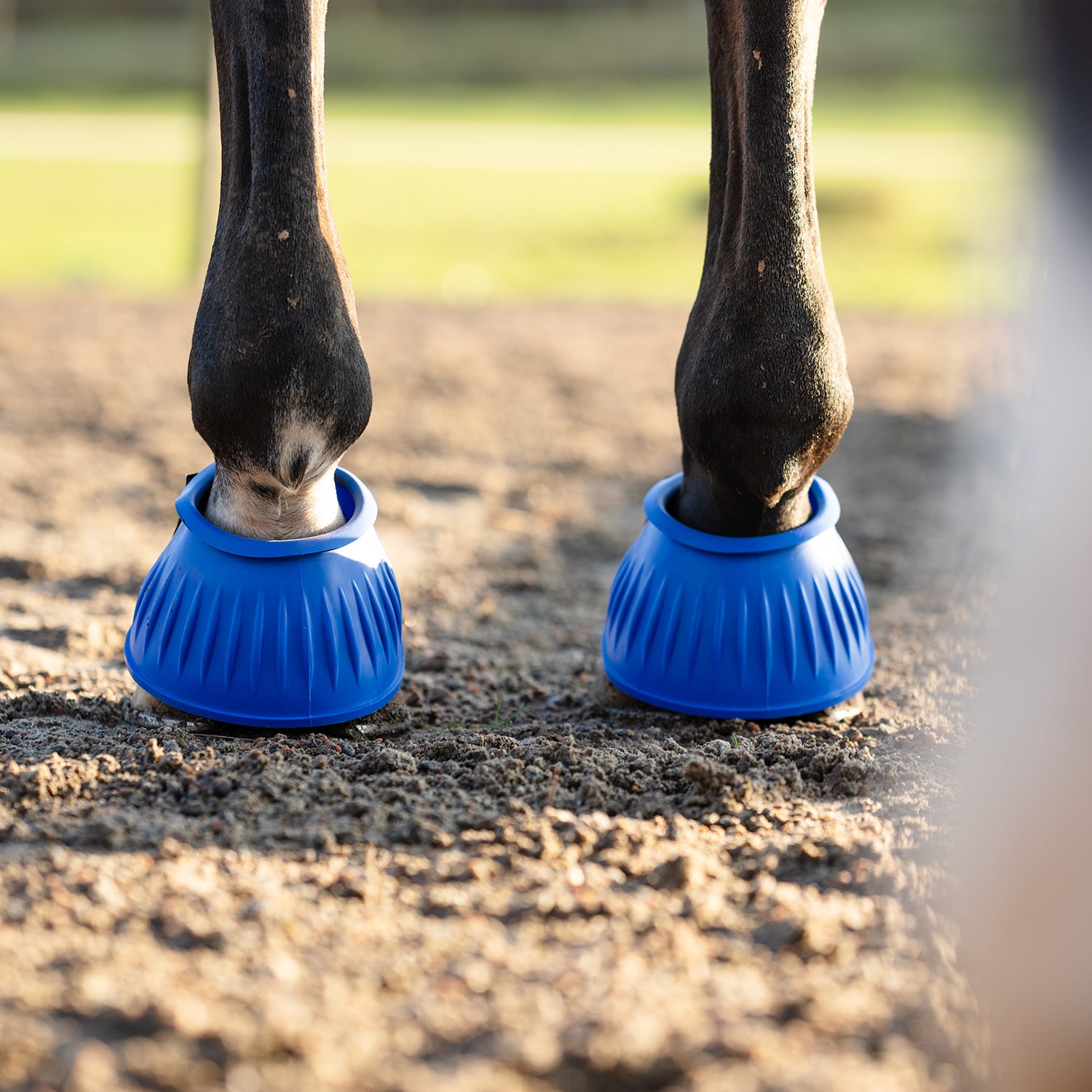 Laarzen  Basic Fairfield®