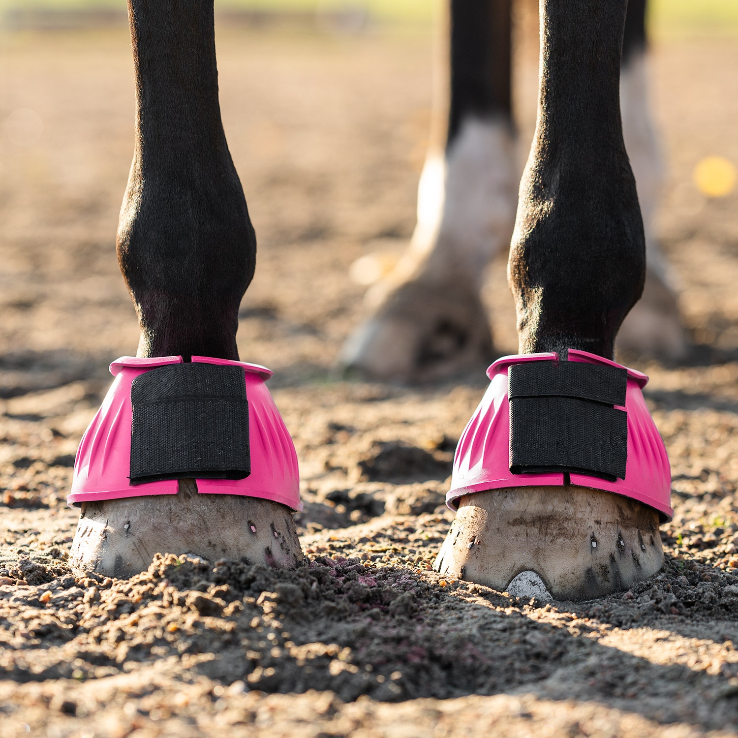 Laarzen  Basic Fairfield®