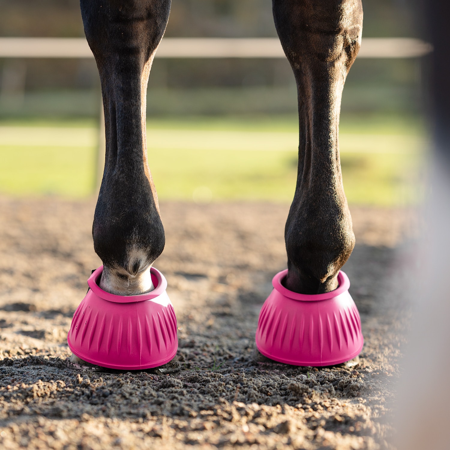 Laarzen  Basic Fairfield®