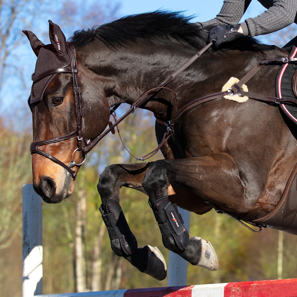 Peesbeschermer Endevour EquiXpert®