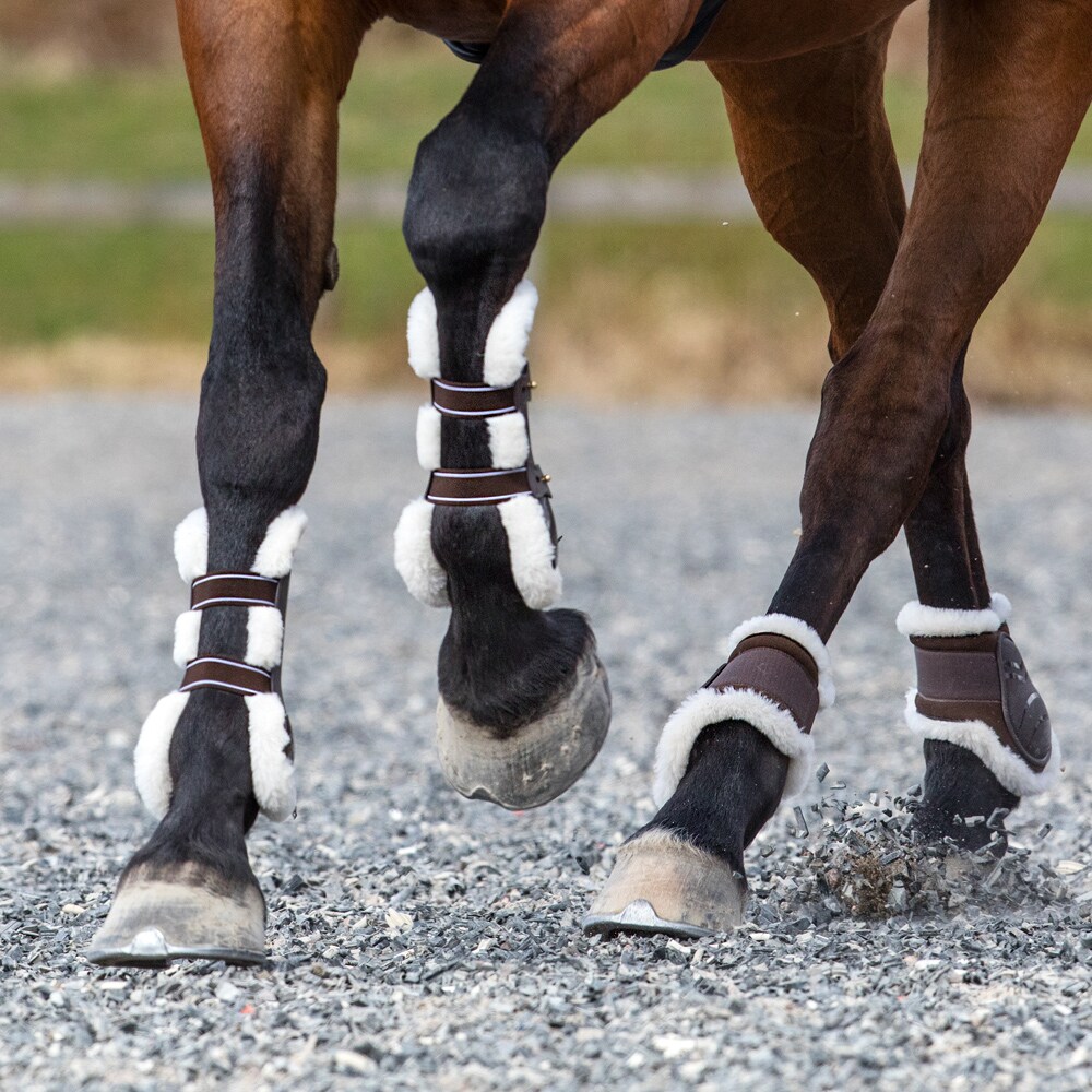 Peesbeschermer Fitzroy Trinity®