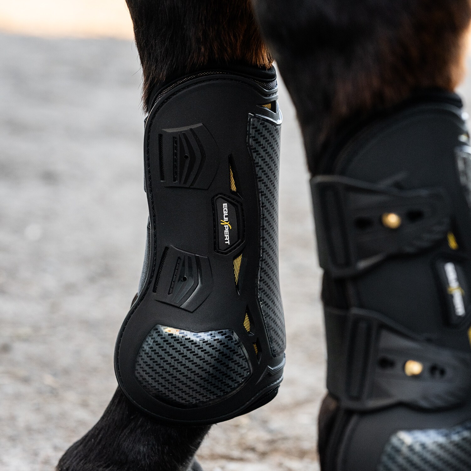 Peesbeschermer  Elevate EquiXpert®