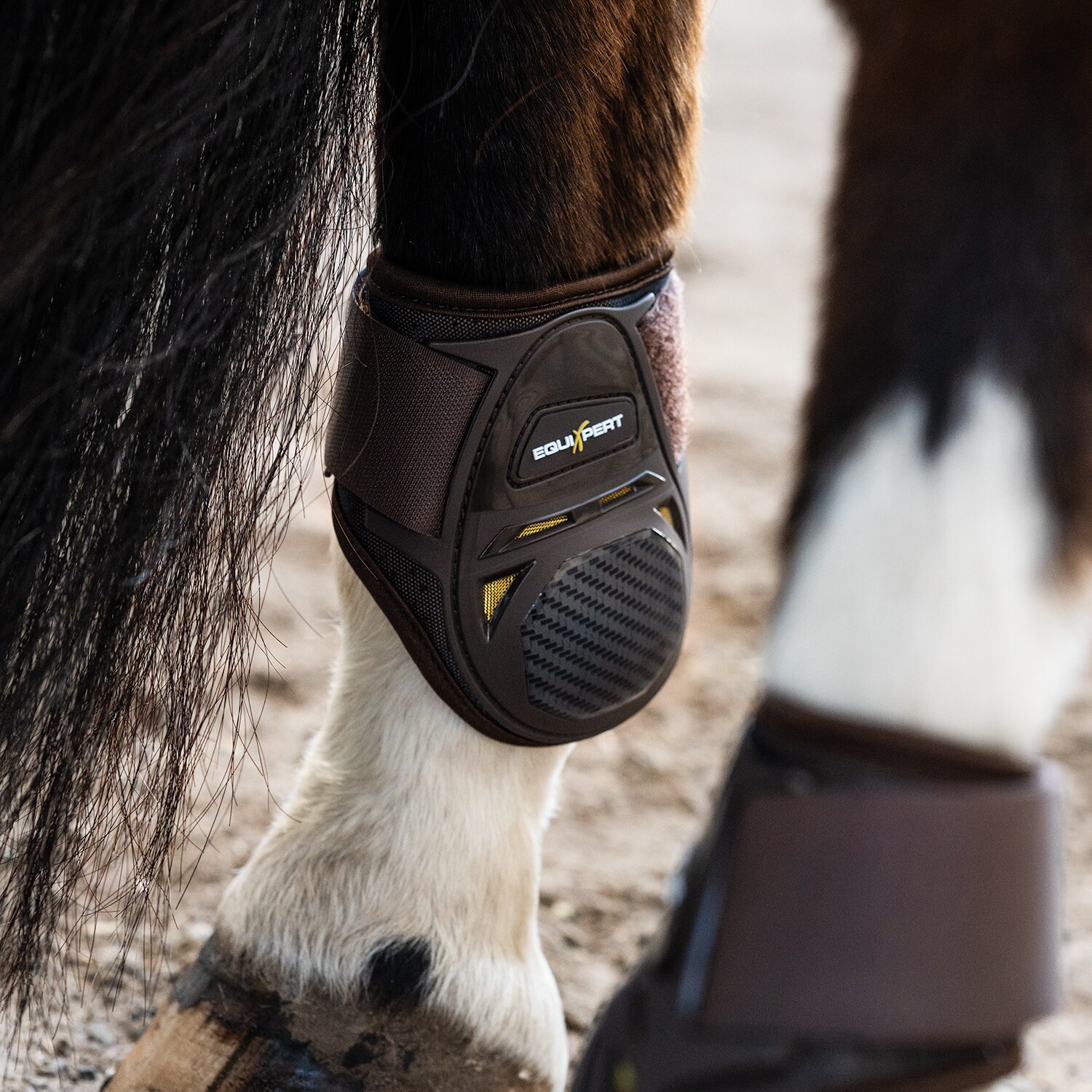 Kogelbeschermers  Elevate EquiXpert®