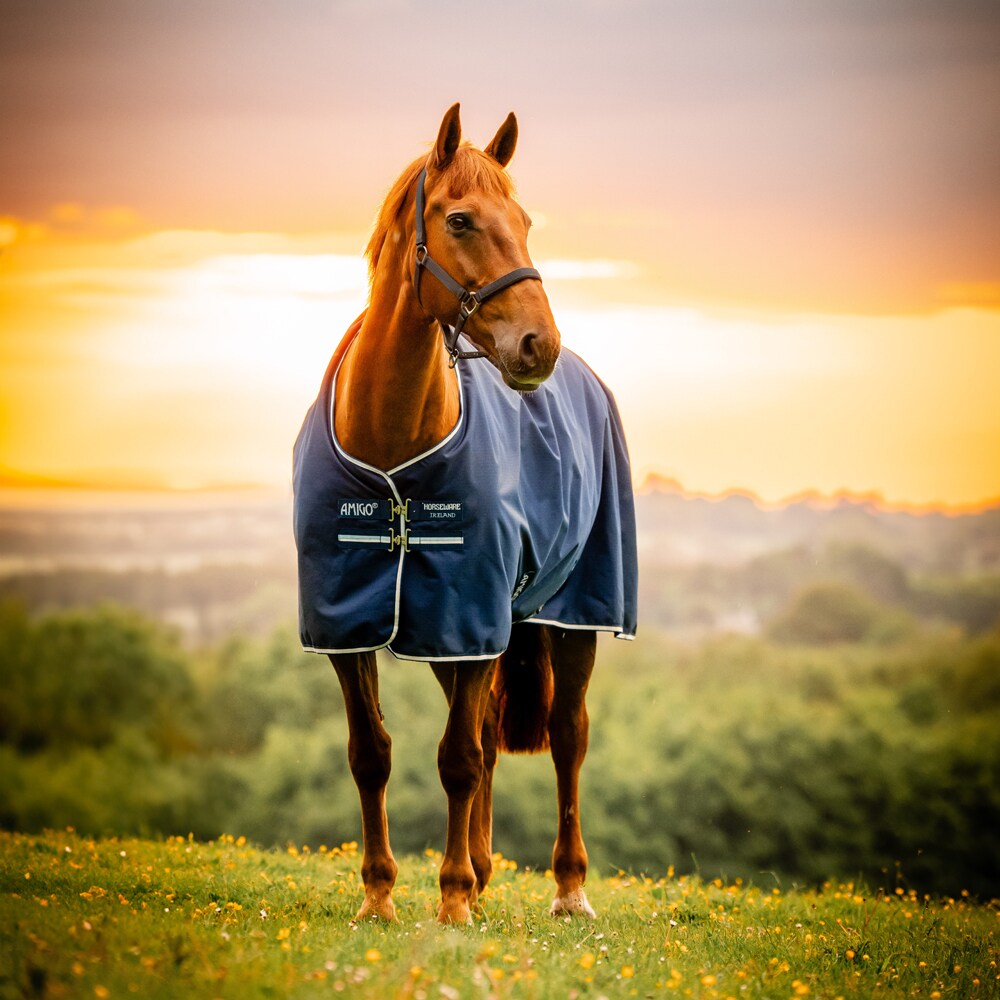 Regendeken  Amigo Ripstop 900D Turnout 0g Horseware®