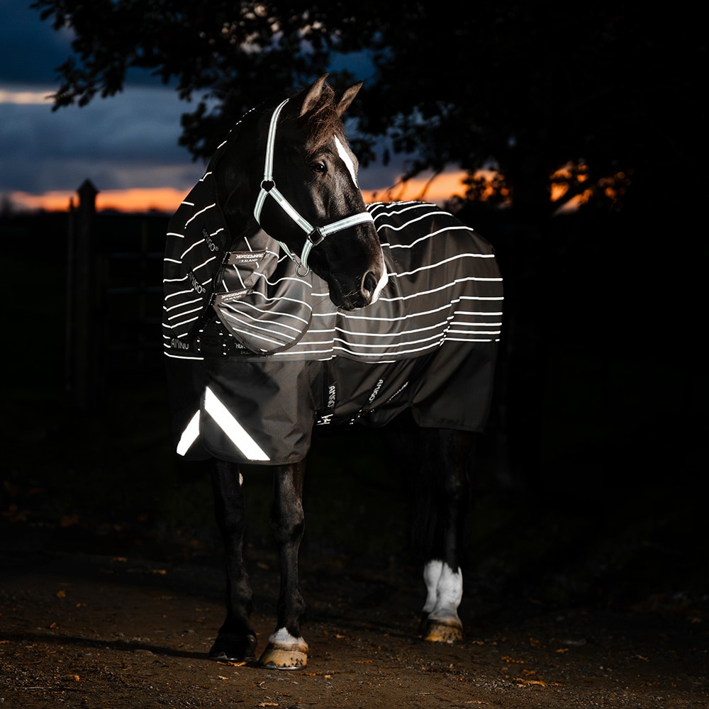 Uitrijdeken 100 g Amigo Bravo 12 Reflectech Plus Turnout Horseware®