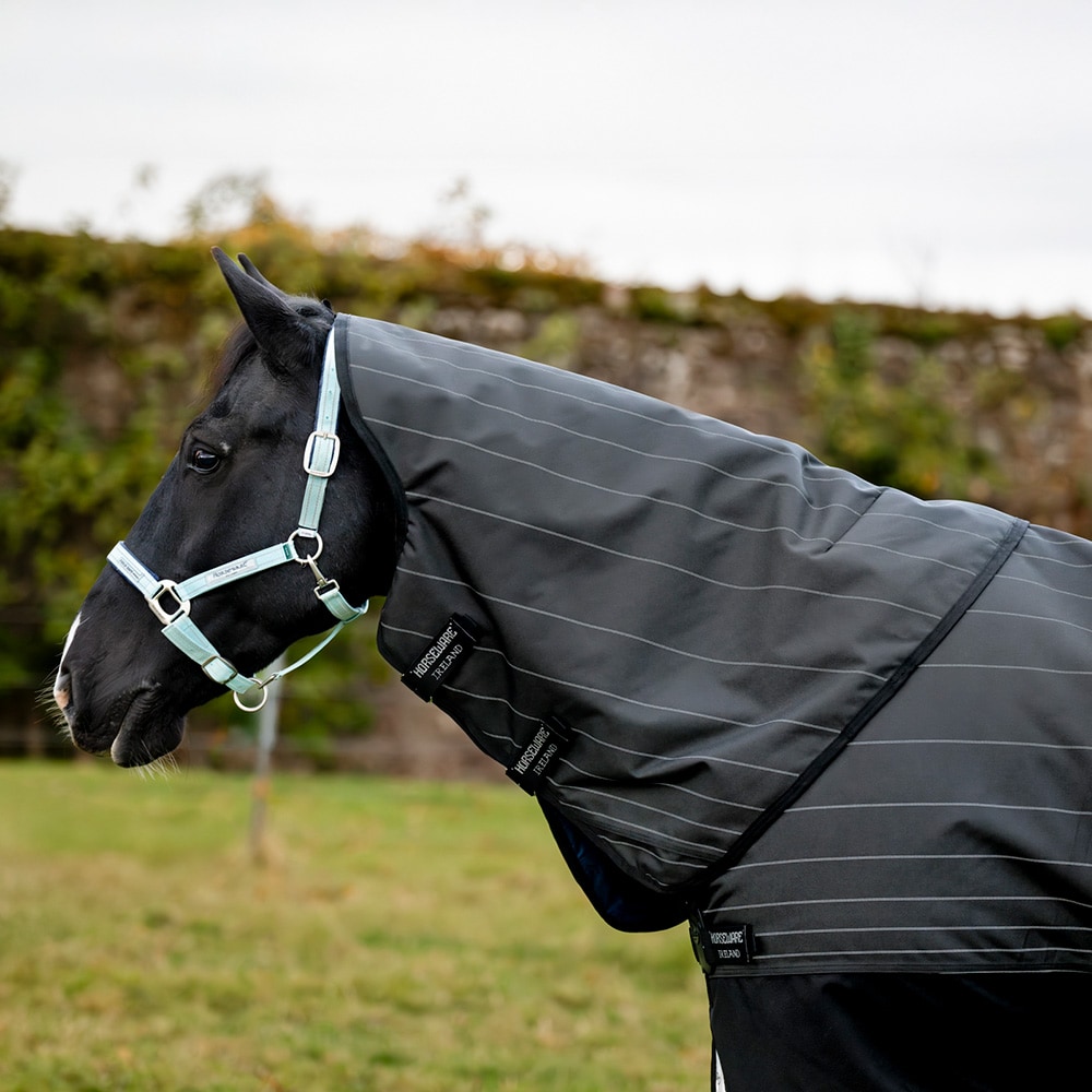Uitrijdeken 100 g Amigo Bravo 12 Reflectech Plus Turnout Horseware®