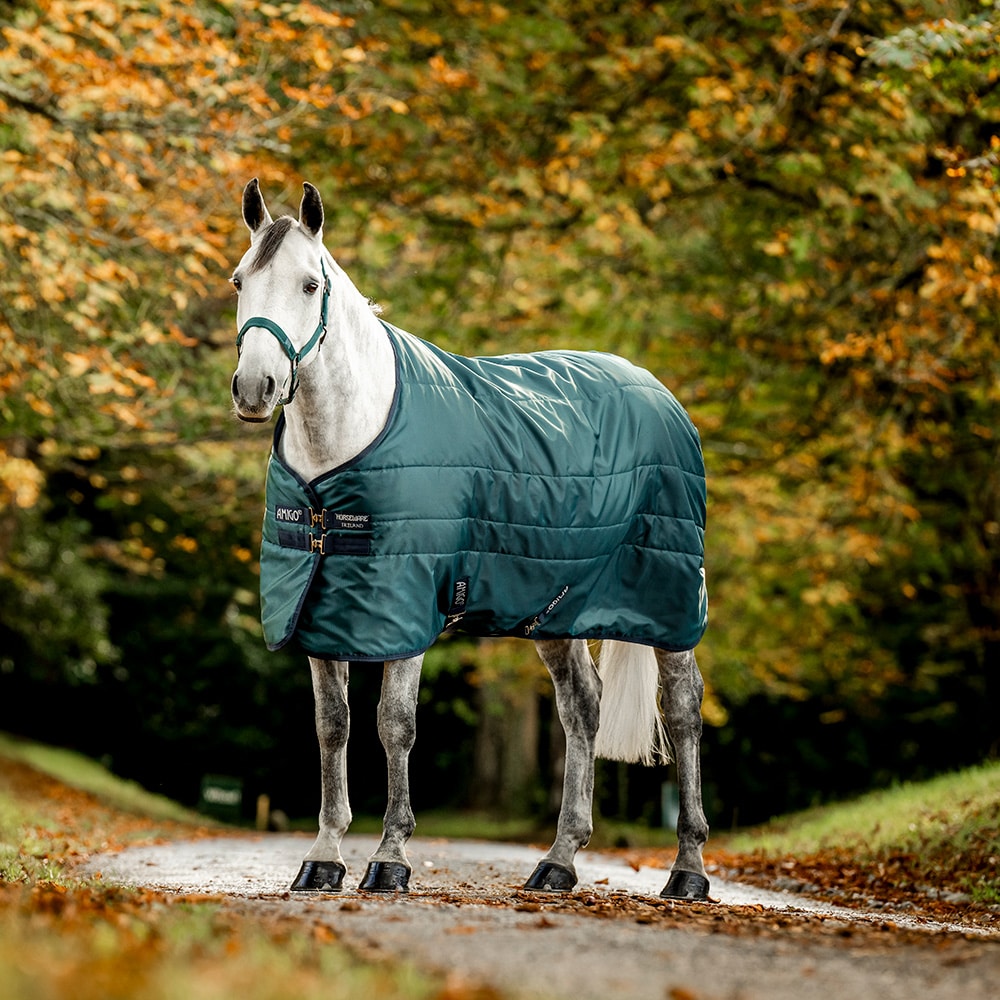 Staldeken 100 g Amigo Ripstop Insulator Horseware®