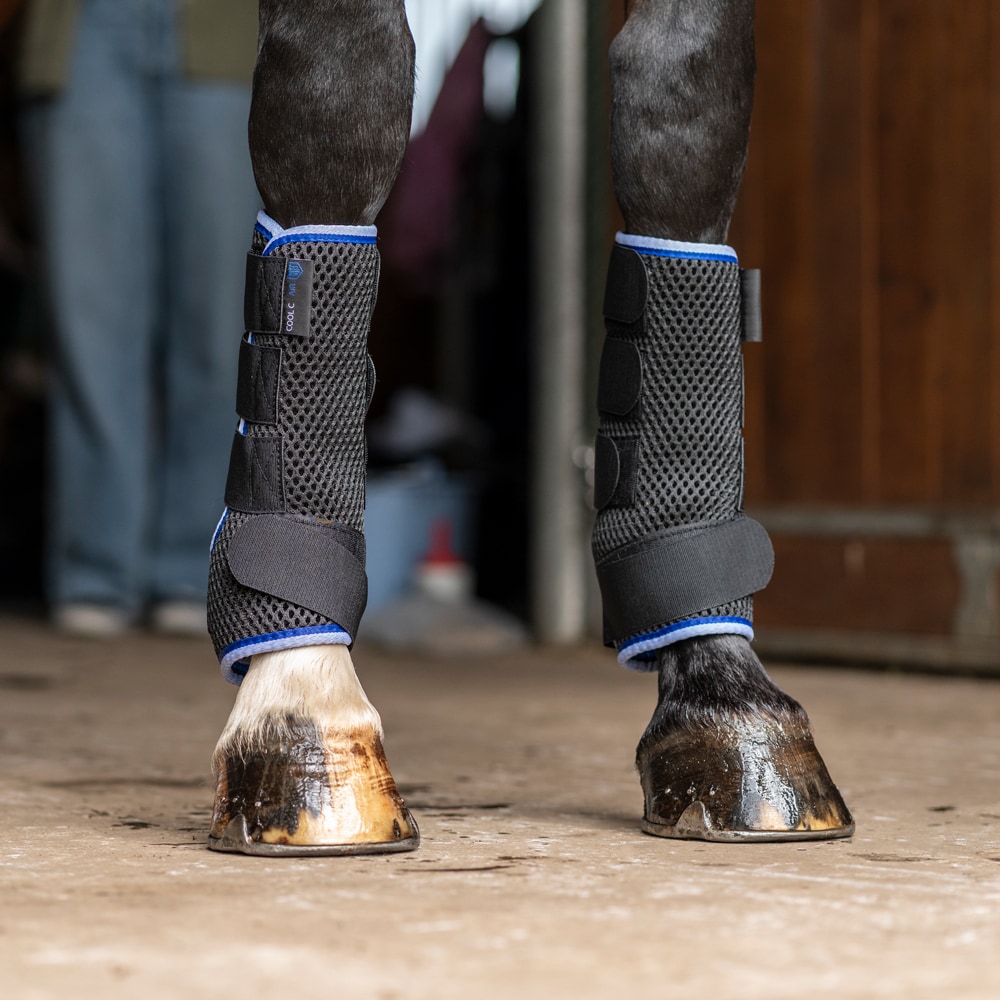 Koellaarzen Cool Cair Fairfield®