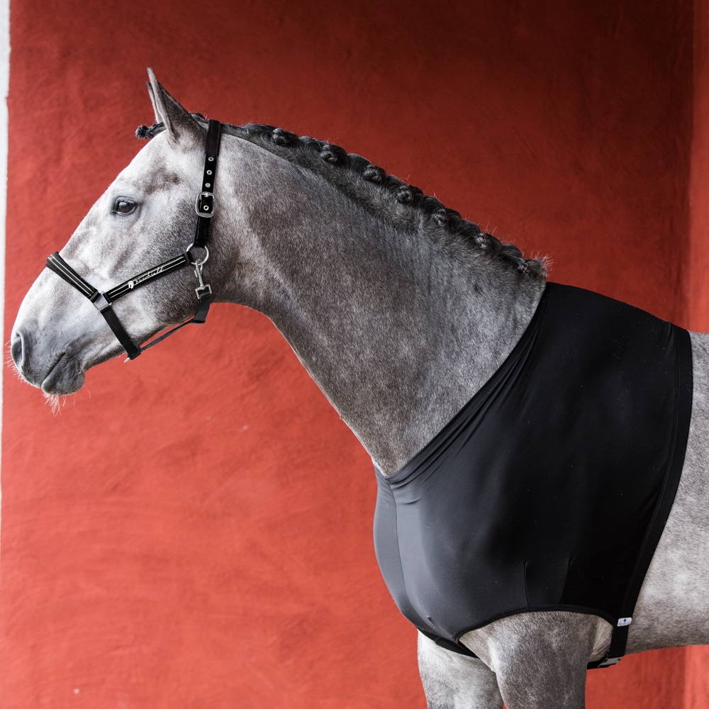 Schouderbeschermer  Shoulder guard Fairfield®