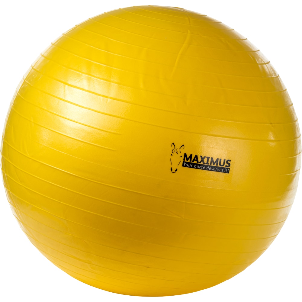 Speelpal  Maximus Ball 