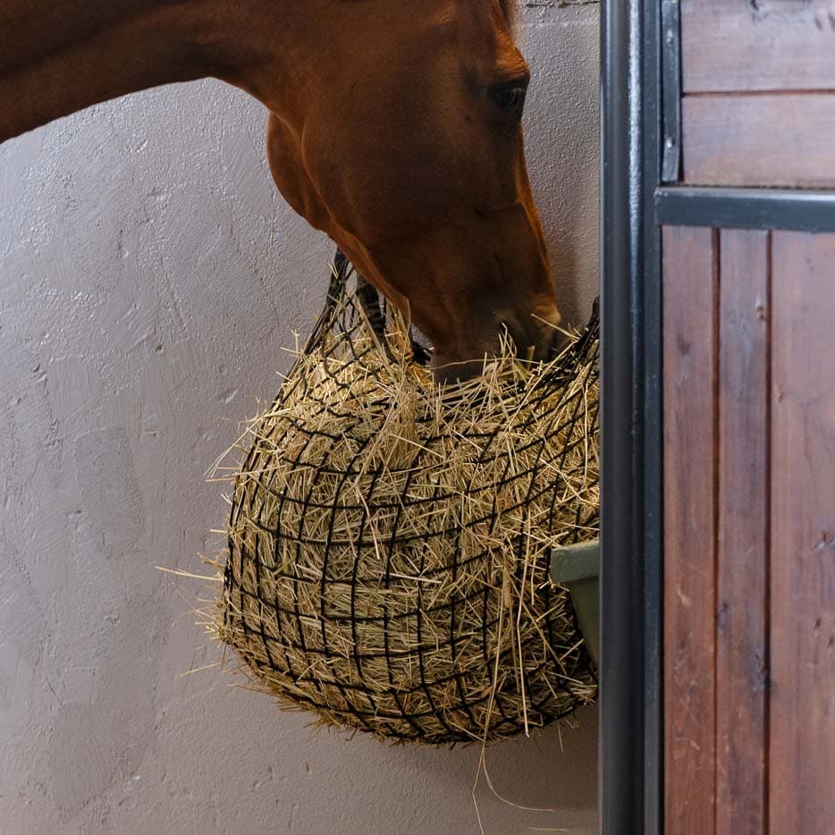 Hooinet  Slowfeed 90*60 cm Hööks