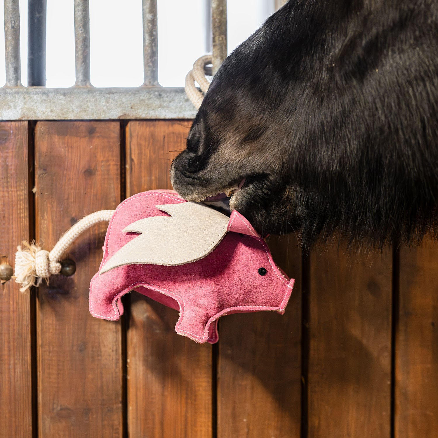 Stal speelgoed Pig Hööks