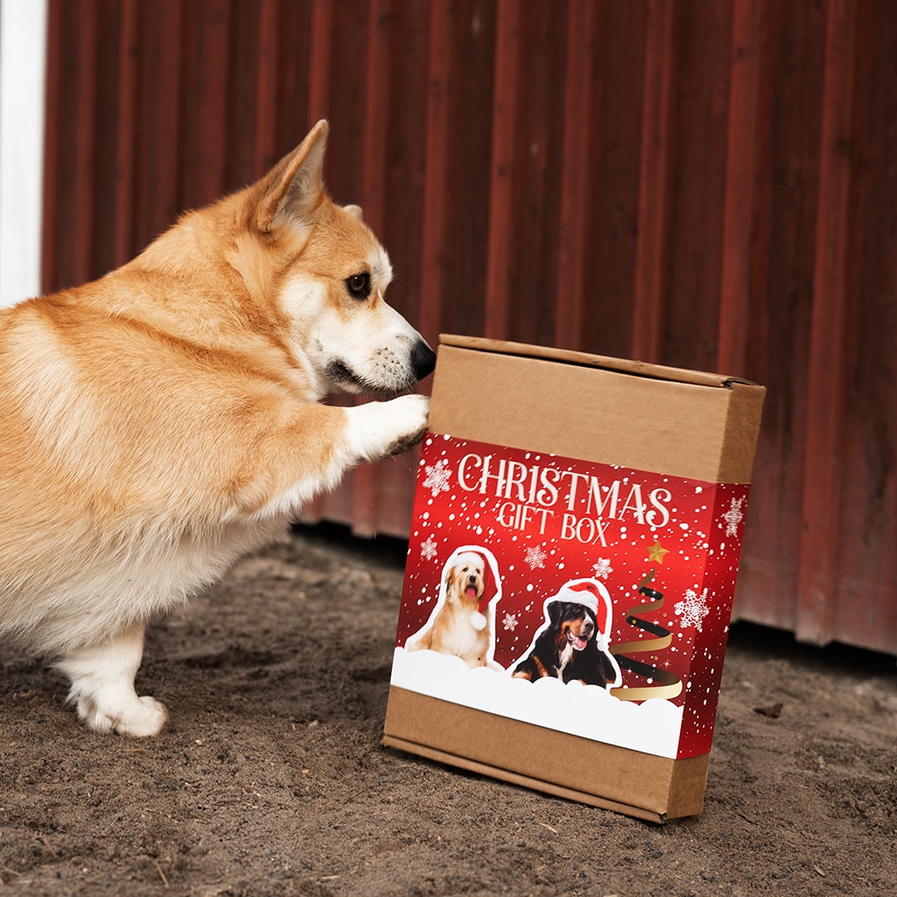   X-Mas Giftbox for Dogs Treateaters
