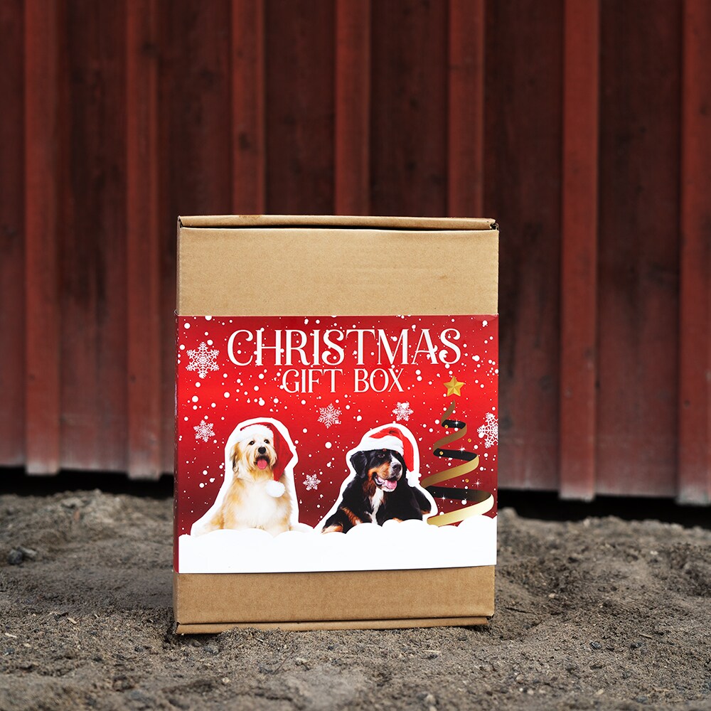   X-Mas Giftbox for Dogs Treateaters