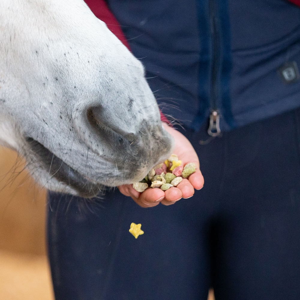 Paardensnacks 500 g Snaks Rainbow Likit