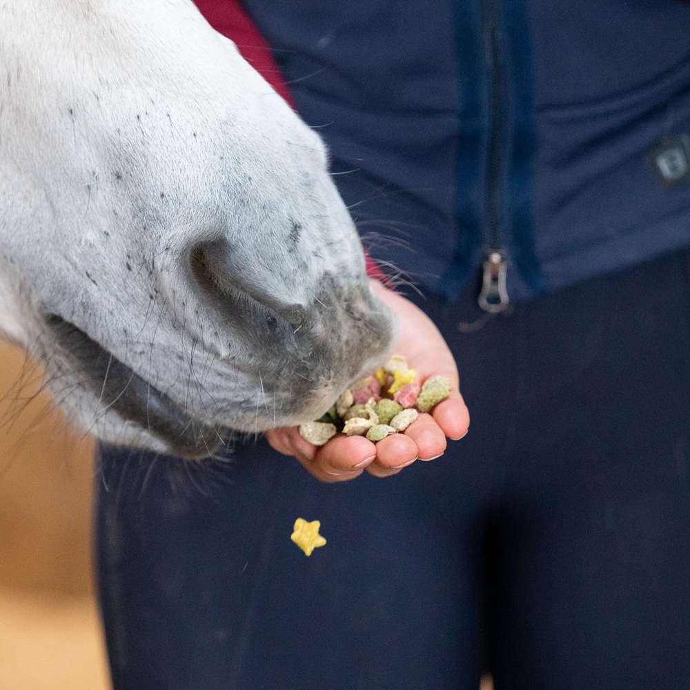 Paardensnacks 100 g Snaks Rainbow Likit