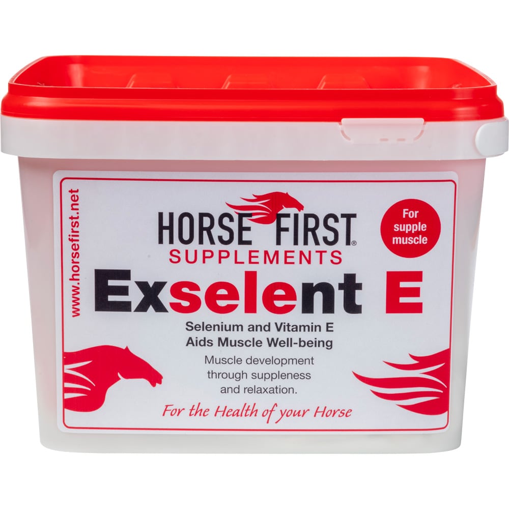   Exselent E HORSE FIRST®