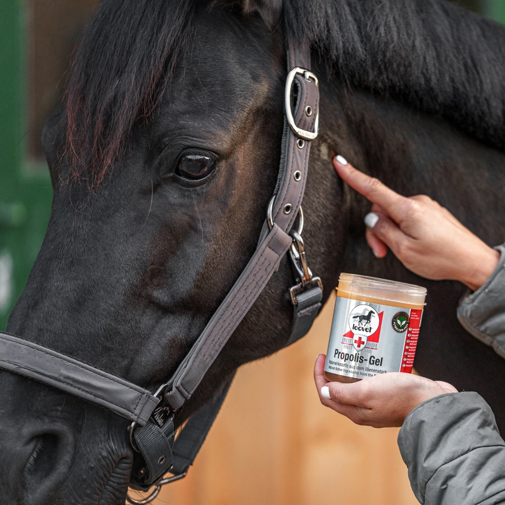Wondzalf  FIRST AID Propolis Gel leovet®