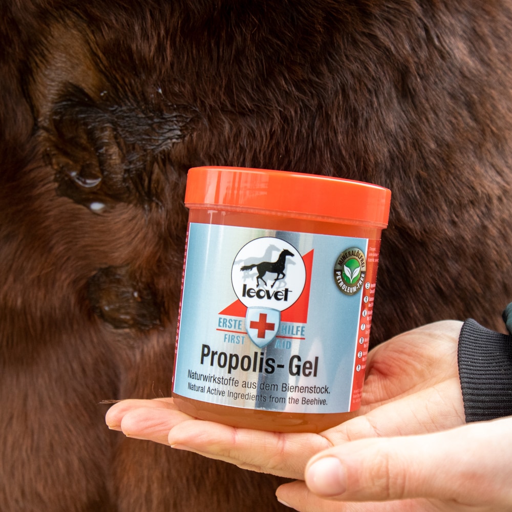 Wondzalf  FIRST AID Propolis Gel leovet®