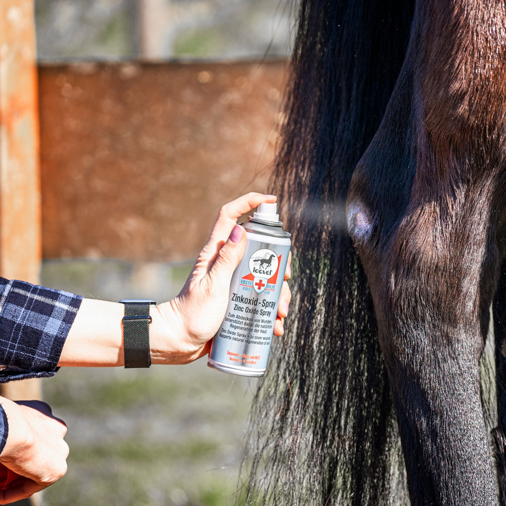 Wondspray  FIRST AID Zinkoid Spray leovet®