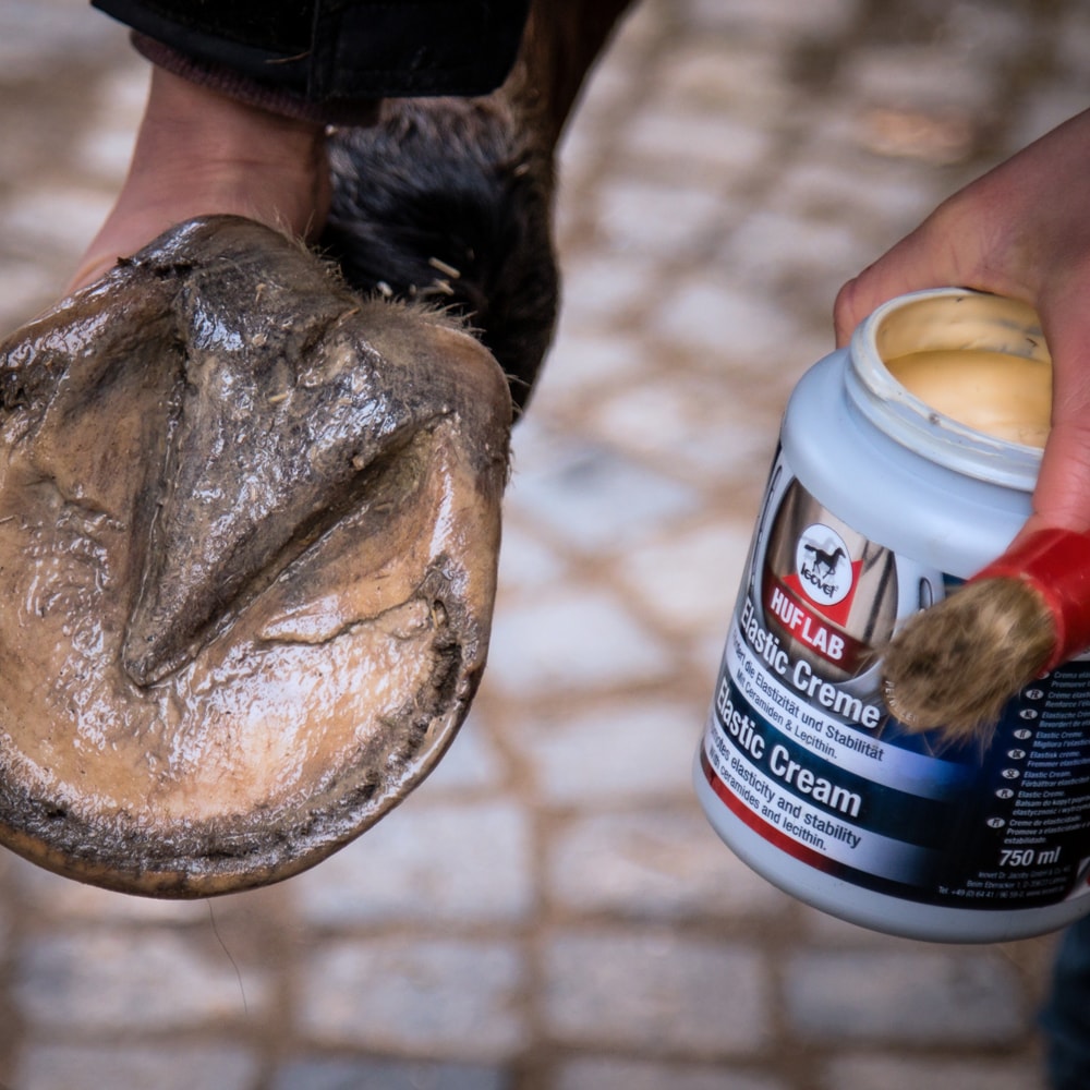 Hoefbehandeling   leovet®