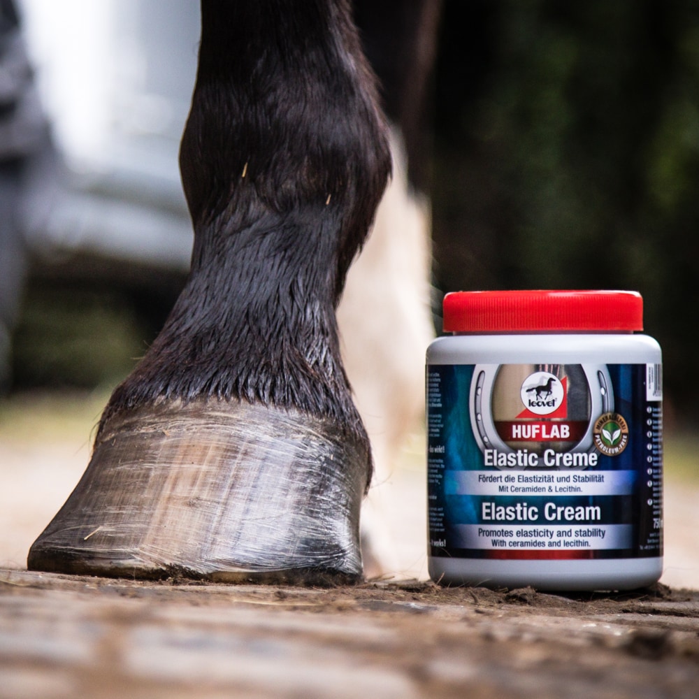 Hoefbehandeling   leovet®