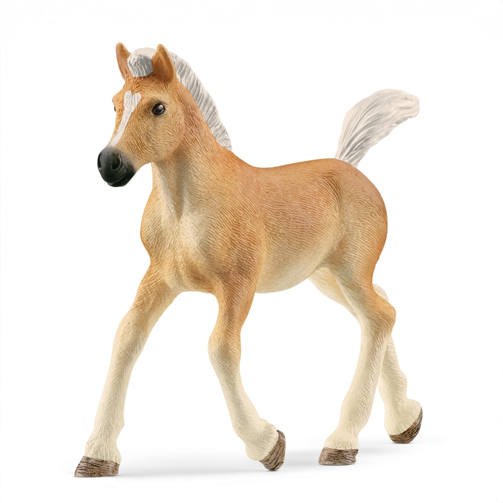 Speelgoed  Haflinger foal Schleich