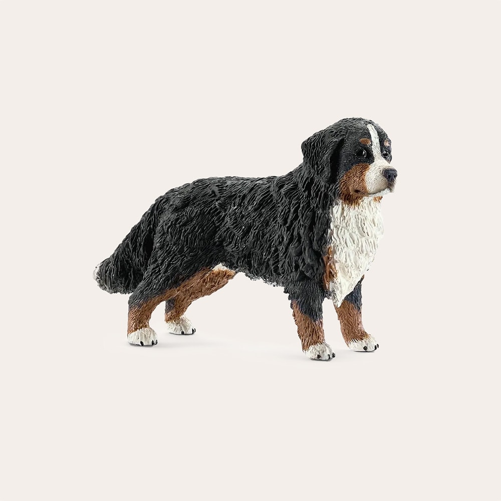 Speelgoed Bernese mountain Dog Female Schleich