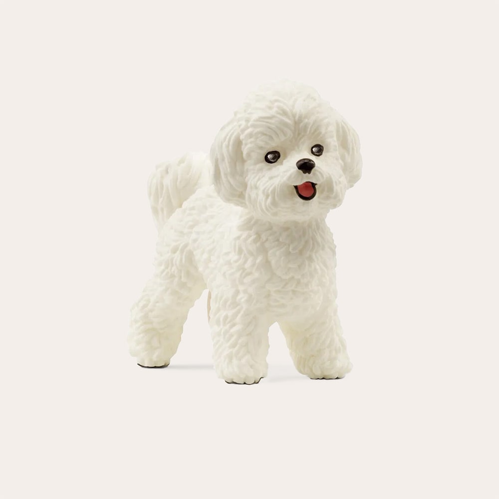 Speelgoed Bichon Frisé Schleich