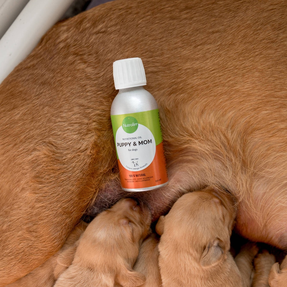 Voedingssupplementen  Nutrolin Puppy & Mom Nutrolin