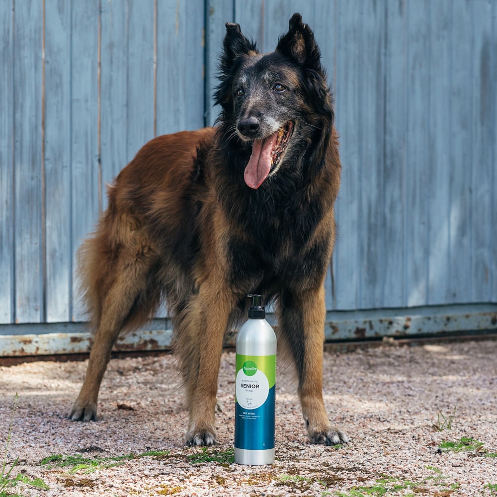 Voedingssupplementen  Nutrolin Senior 