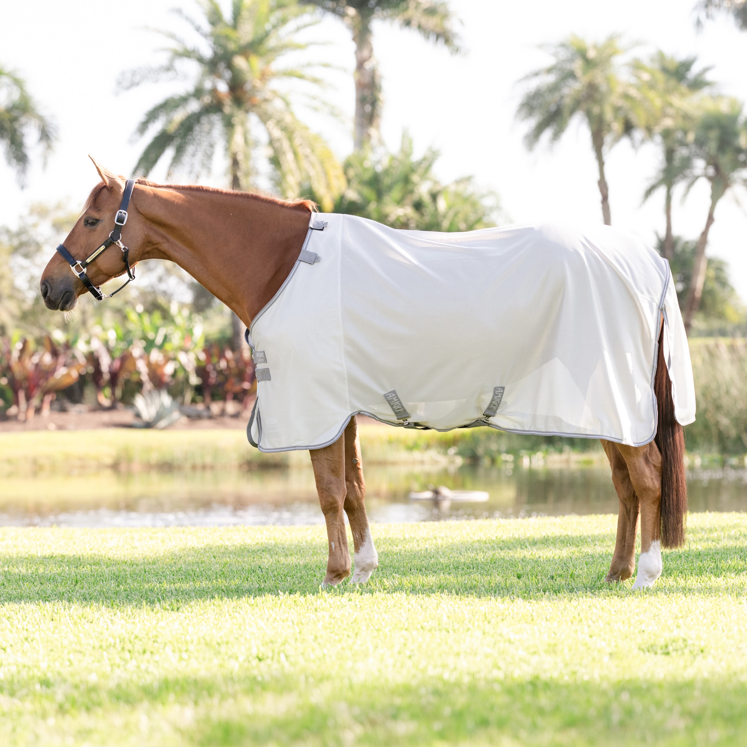 Vliegendeken Amigo Bug Rug Horseware®