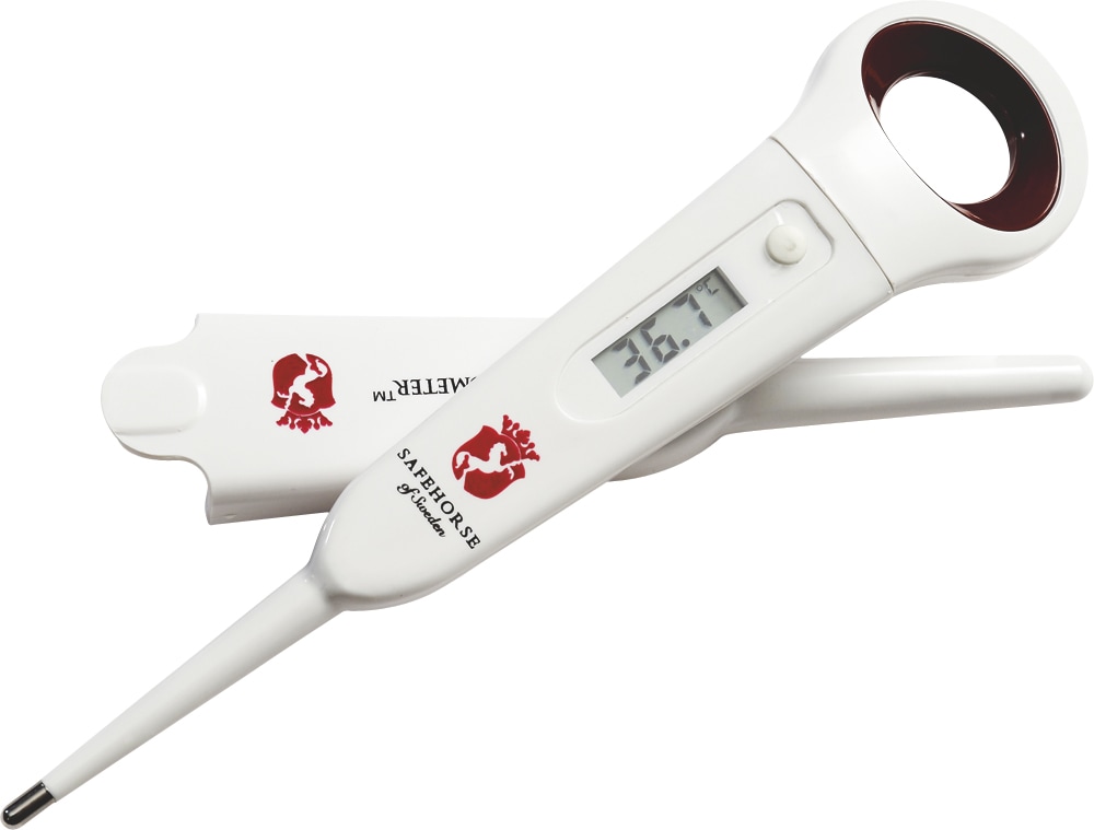 Thermometer  SafeHorse *NY* s9