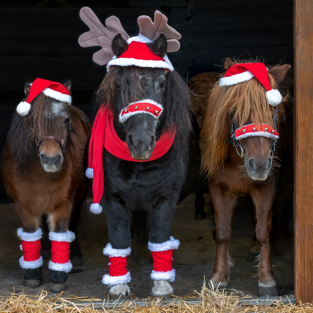 Kerstbeenlbeschermers   CRW®