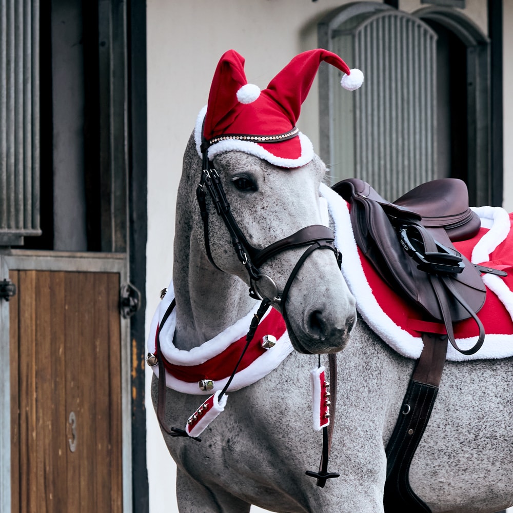 Bellenkrans  Blitzen CRW®