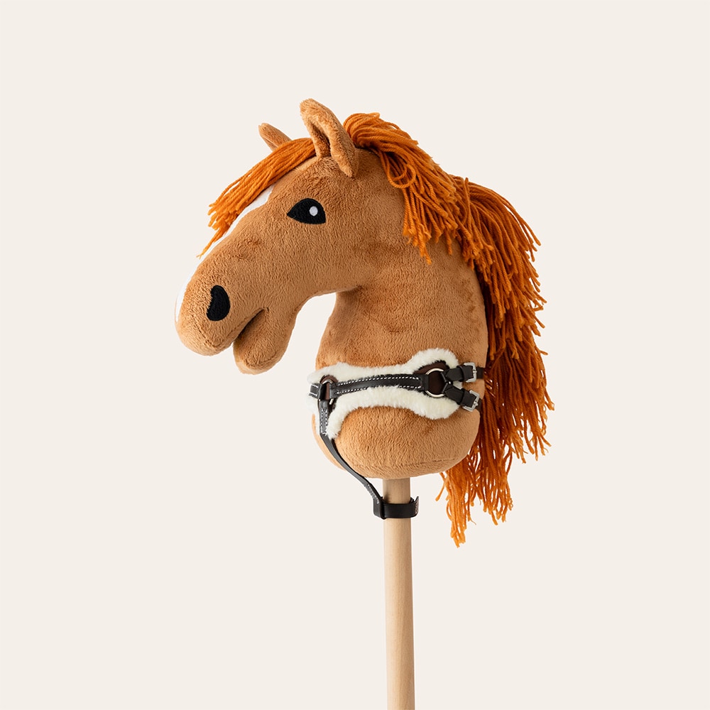 Stokpaardborsttuig  Galway mini Hööks