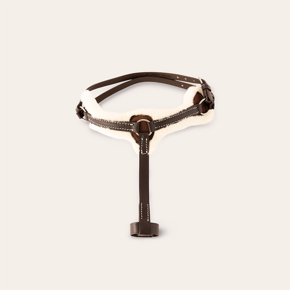 Stokpaardborsttuig  Galway mini Hööks